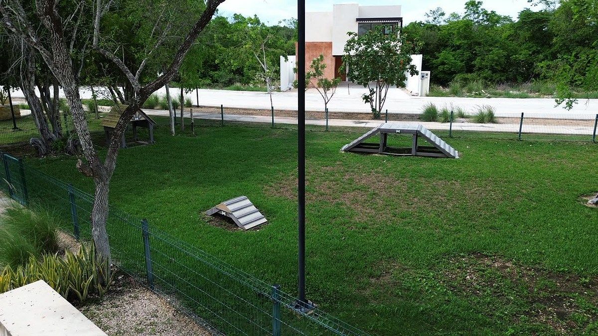 Terreno en Jardines de Mérida, Mérida, foto 4 de 6
