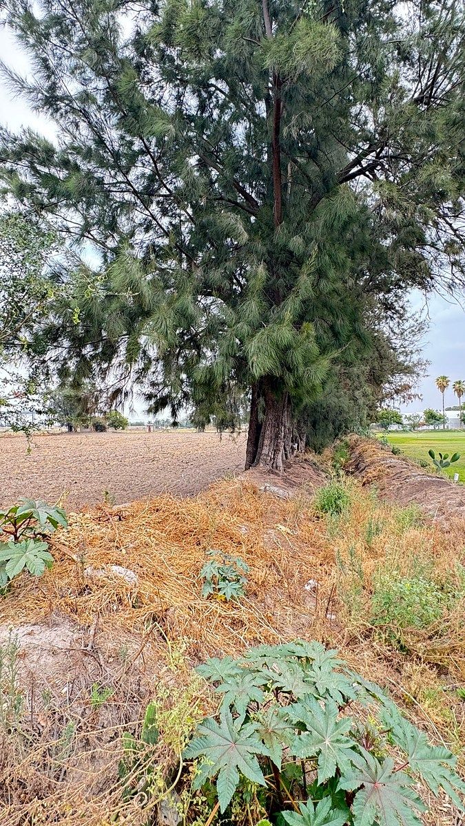 Lot in Belcanto, Tlajomulco de Zúñiga, photo 2 of 5