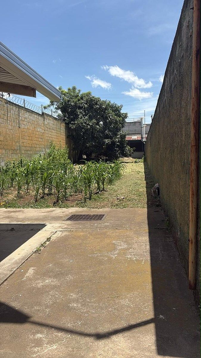 Bodega en Renta - Villa Nueva - Image 5