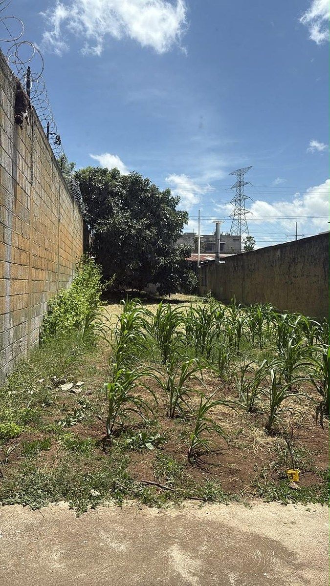 Bodega en Villa Nueva, Villa Nueva, foto 8 de 20