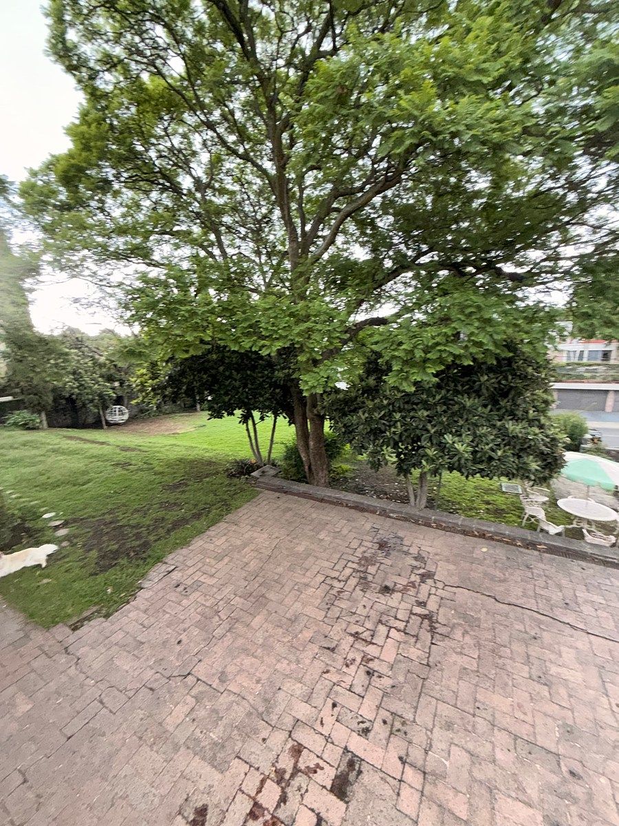 Lote em Jardines del Pedregal, Álvaro Obregón, foto 5 de 5