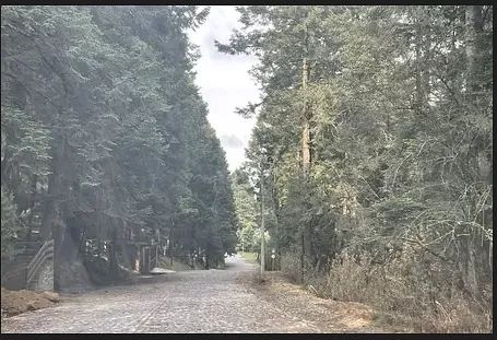 Terreno en Villa Alpina, Naucalpan de Juárez, foto 11 de 18