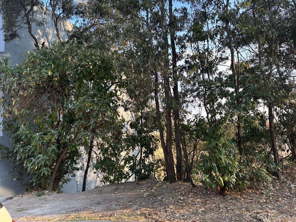 Lot in Bosque Real, Huixquilucan, photo 2 of 5