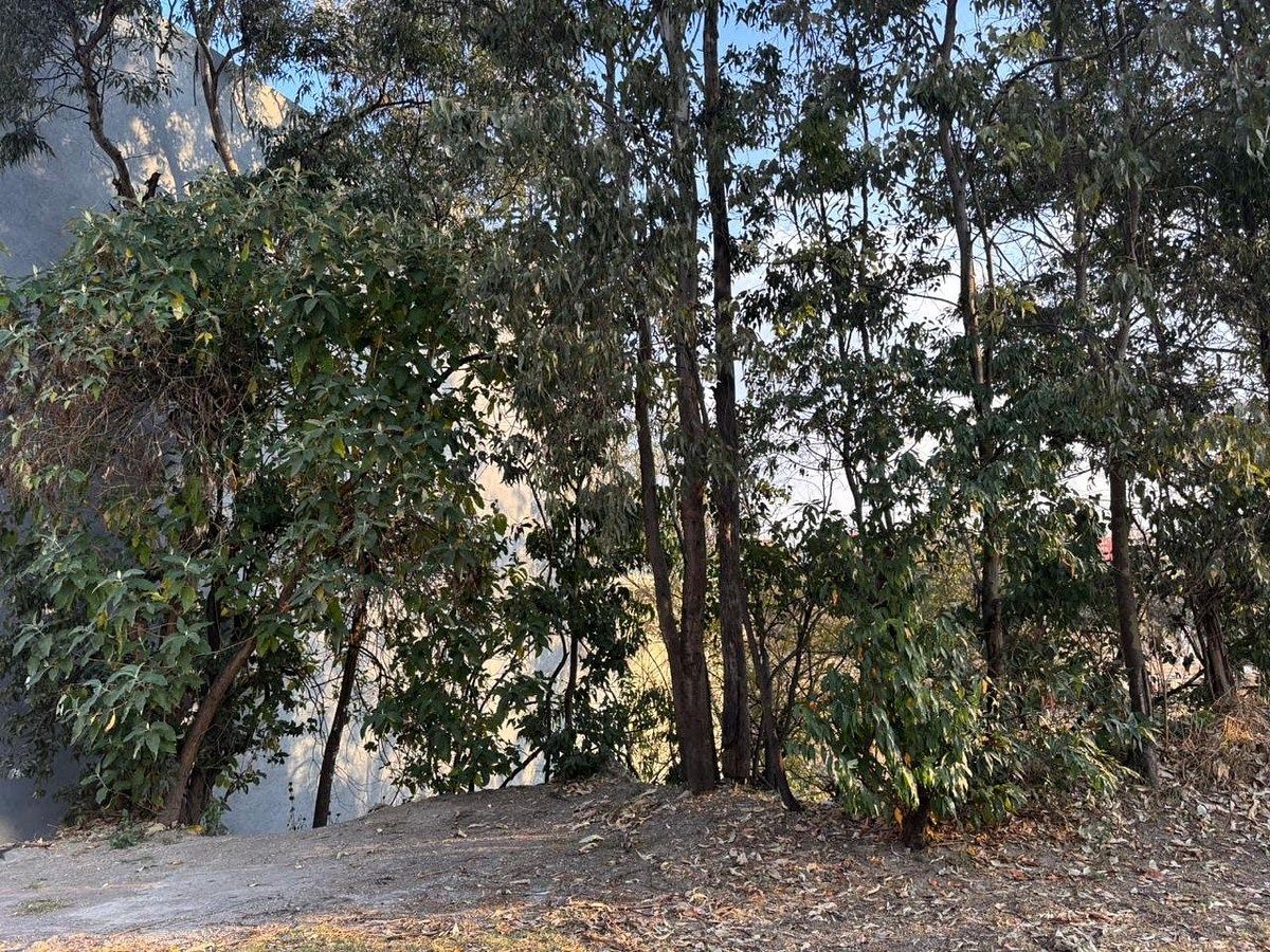 Lot in Bosque Real, Huixquilucan, photo 3 of 5