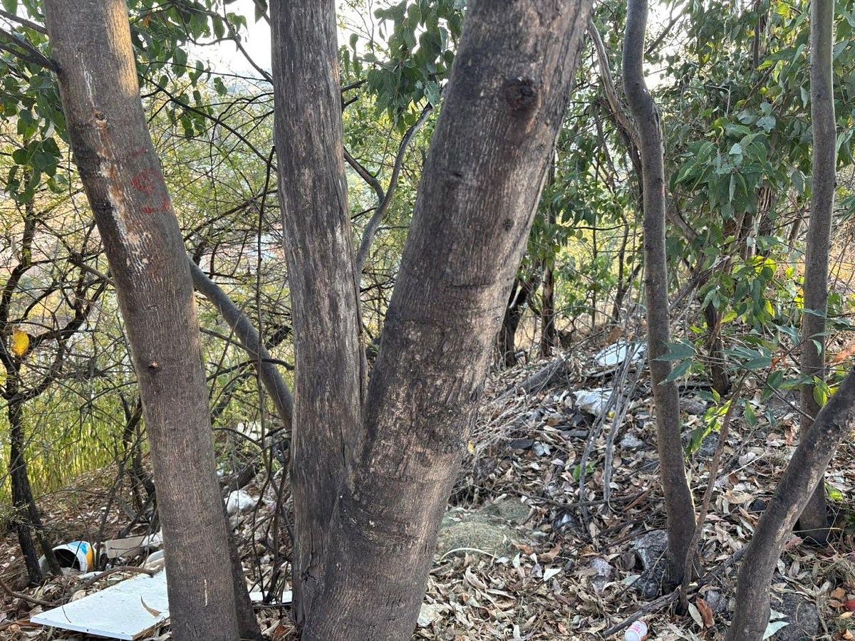 Lot in Bosque Real, Huixquilucan, photo 5 of 5