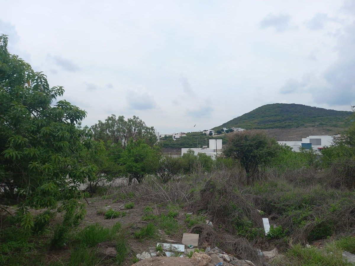 Land, photo 1 of 13