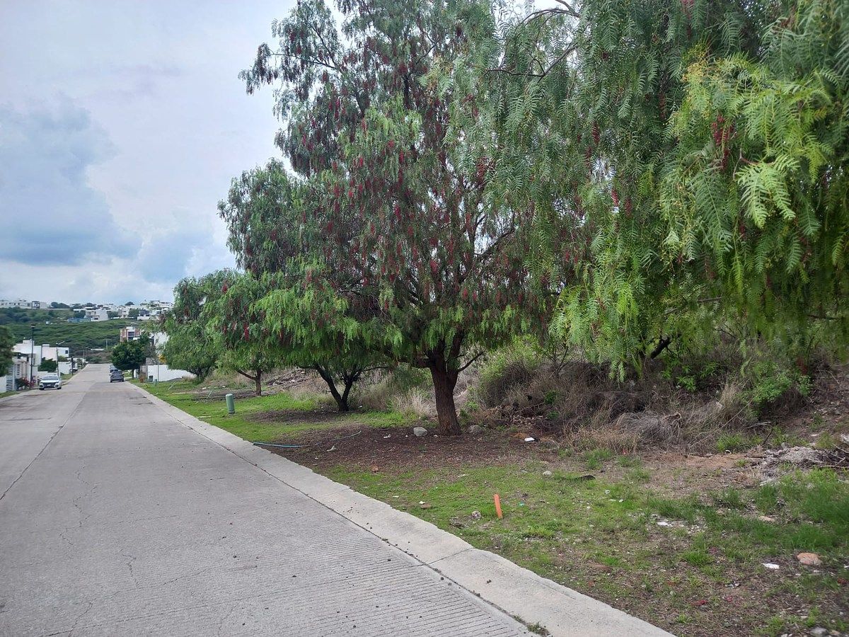 Lot in Real de Juriquilla, Querétaro, photo 6 of 13
