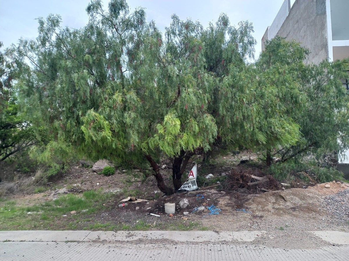 Lot in Real de Juriquilla, Querétaro, photo 11 of 13