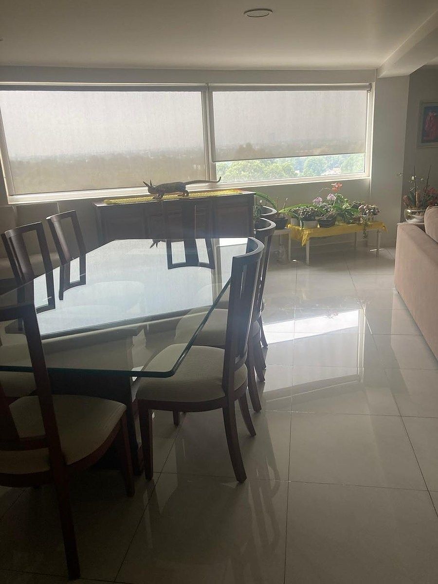 Apartment in Axotla, Álvaro Obregón, photo 13 of 26