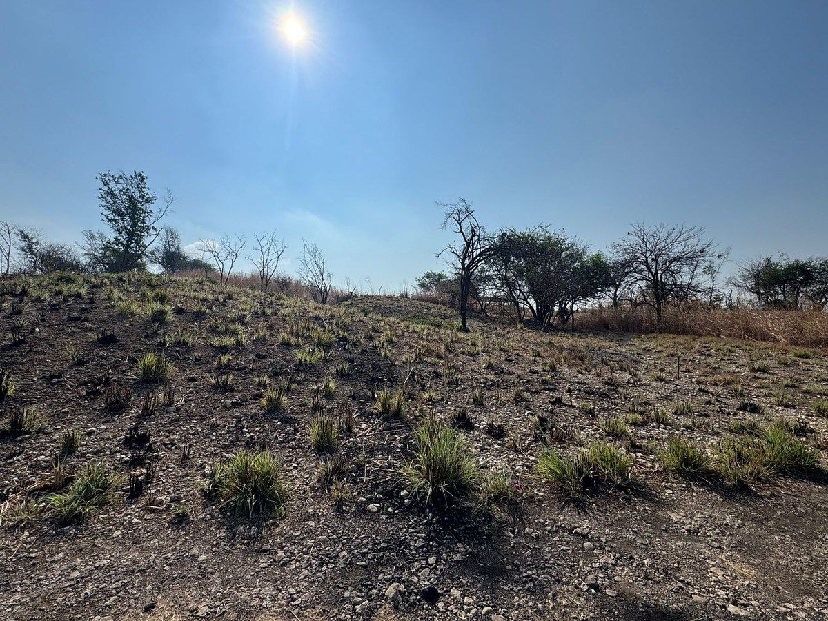 Terreno en Suchiapa, Suchiapa, foto 2 de 9