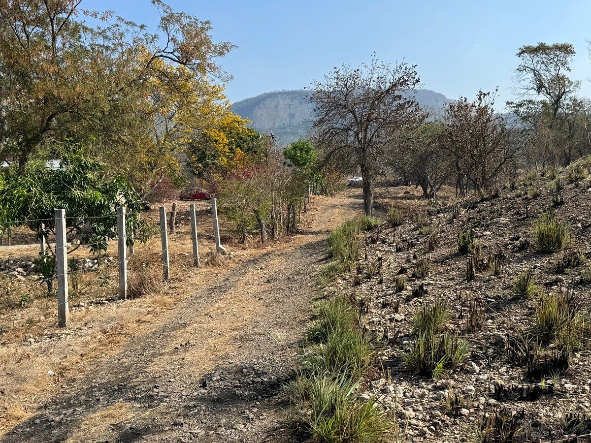 Terreno en Suchiapa, Suchiapa, foto 3 de 9