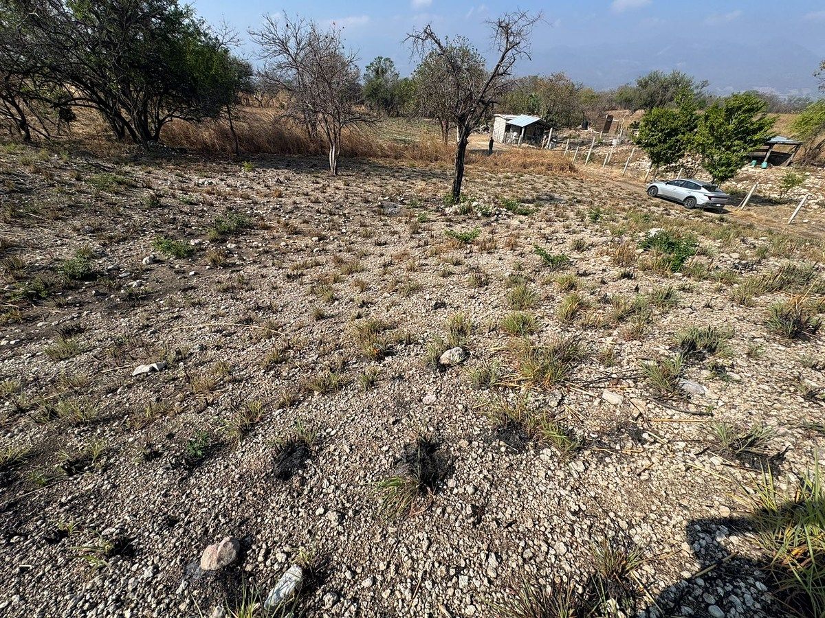 Terreno en Suchiapa, Suchiapa, foto 4 de 9