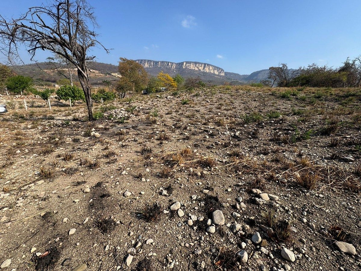 Terreno en Suchiapa, Suchiapa, foto 5 de 9
