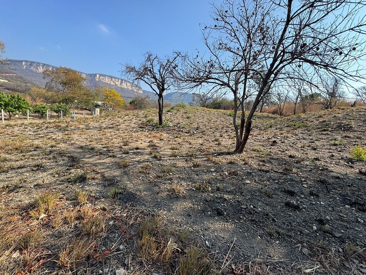 Terreno en Suchiapa, Suchiapa, foto 7 de 9