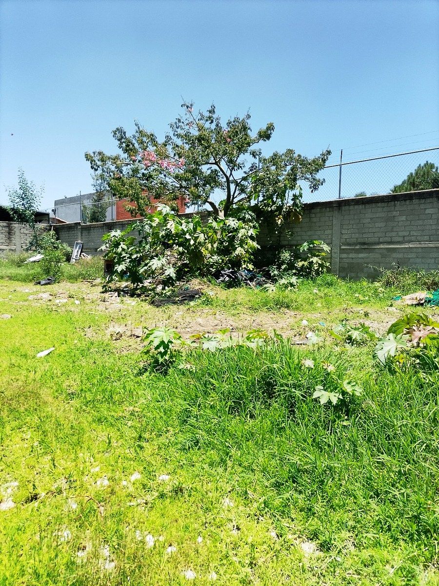 Terreno en El Bajío, Zapopan, foto 5 de 14
