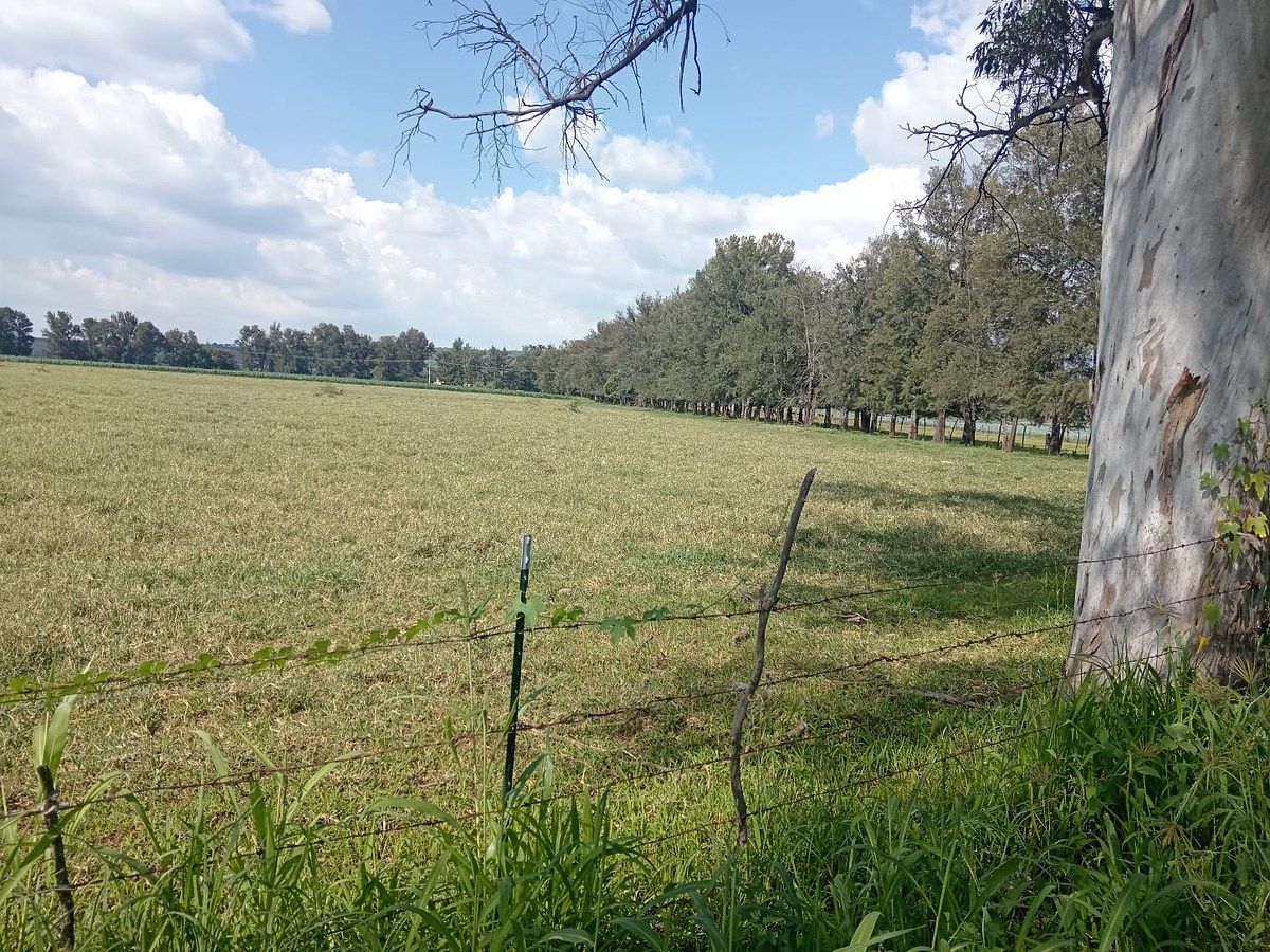 Commercial Lot in Tototlan Centro, Tototlán, photo 5 of 11
