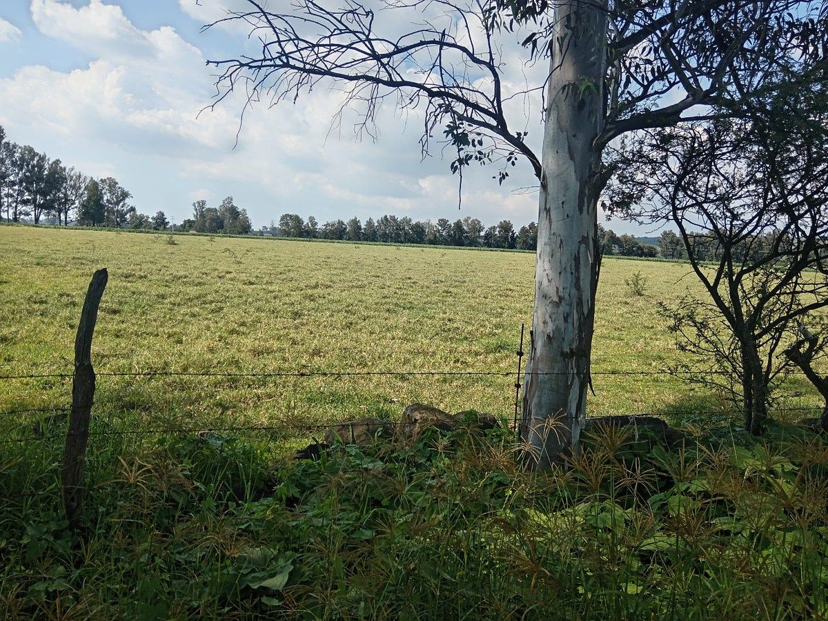 Commercial Lot in Tototlan Centro, Tototlán, photo 4 of 11
