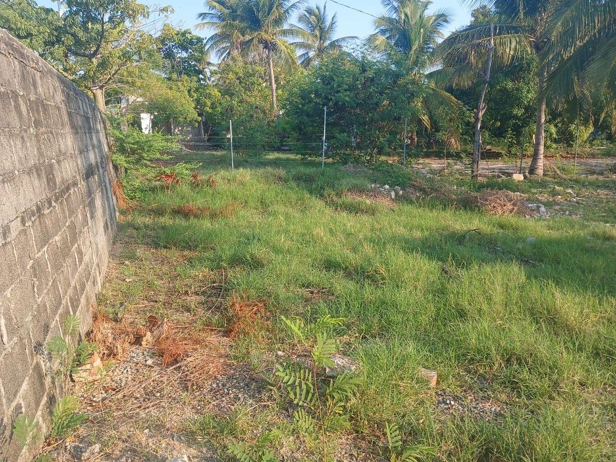 Terreno en Puerto Arista, Tonalá, foto 4 de 4