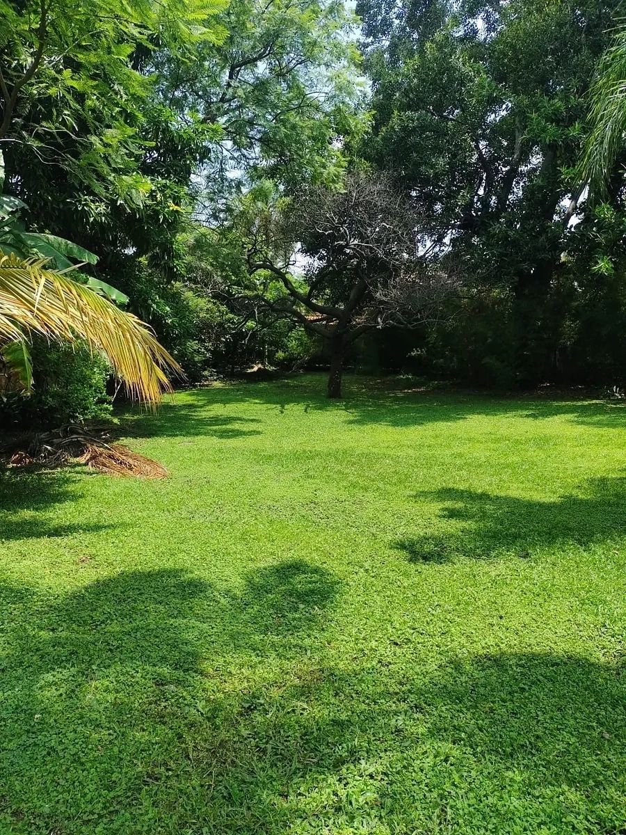 Casa en Venta, Jardines las Delicias, Cuernavaca, Morelos., foto 1 de 12
