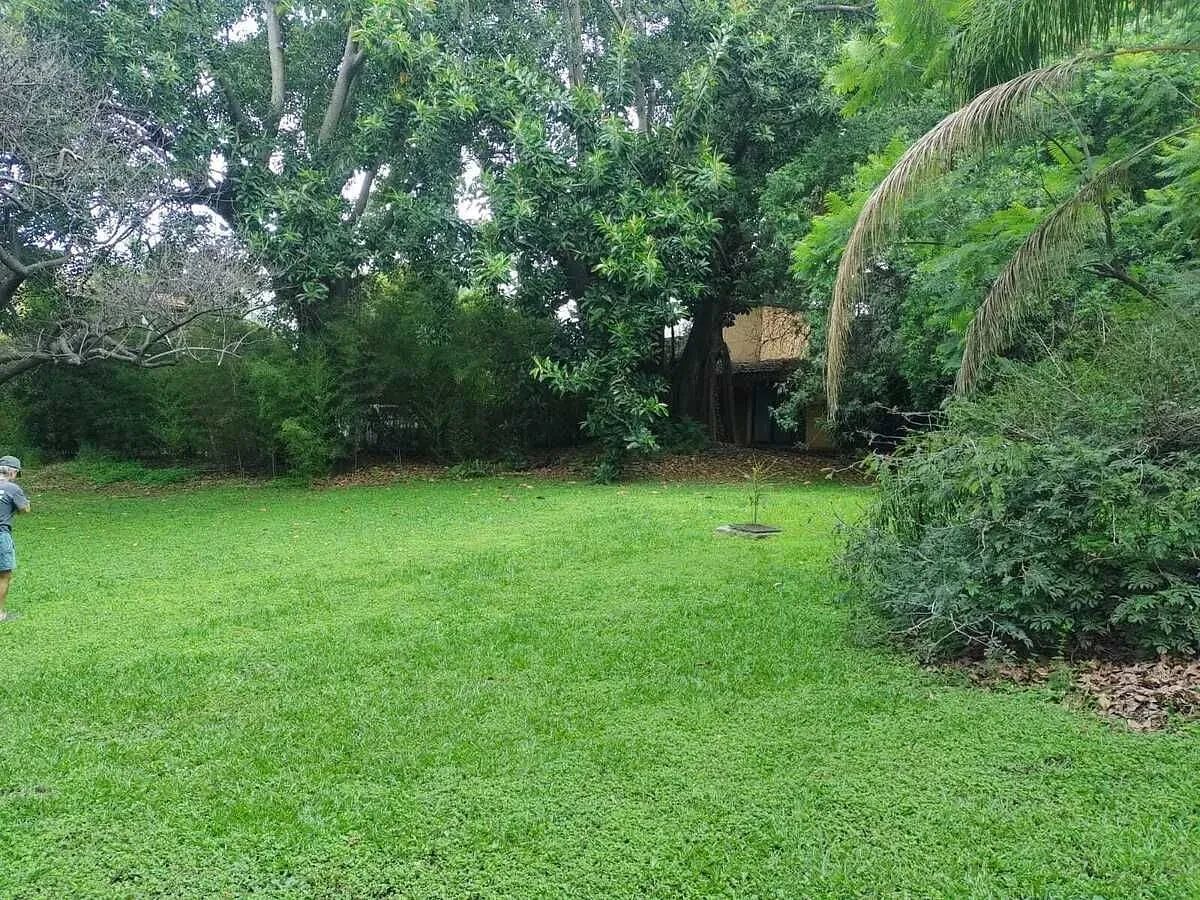 Casa en Jardines de Delicias, Cuernavaca, foto 8 de 12