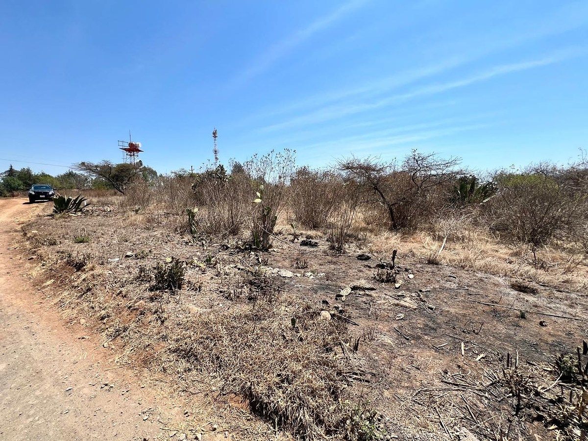 Lot in Atacco, Tapalpa, photo 4 of 8