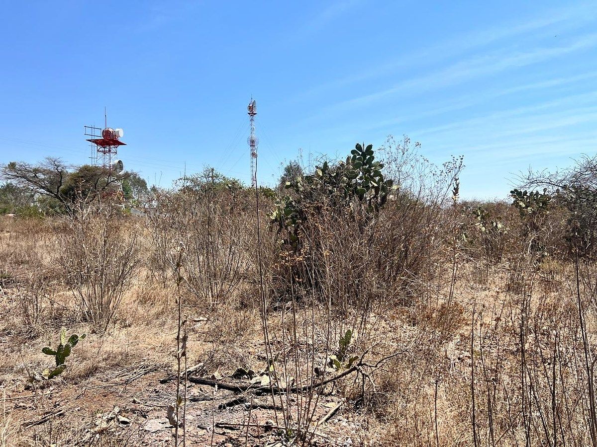 Lot in Atacco, Tapalpa, photo 5 of 8