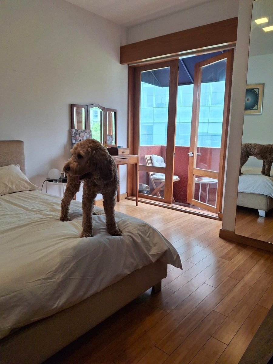 Apartment in ZEDEC Santa Fe, Álvaro Obregón, photo 7 of 17