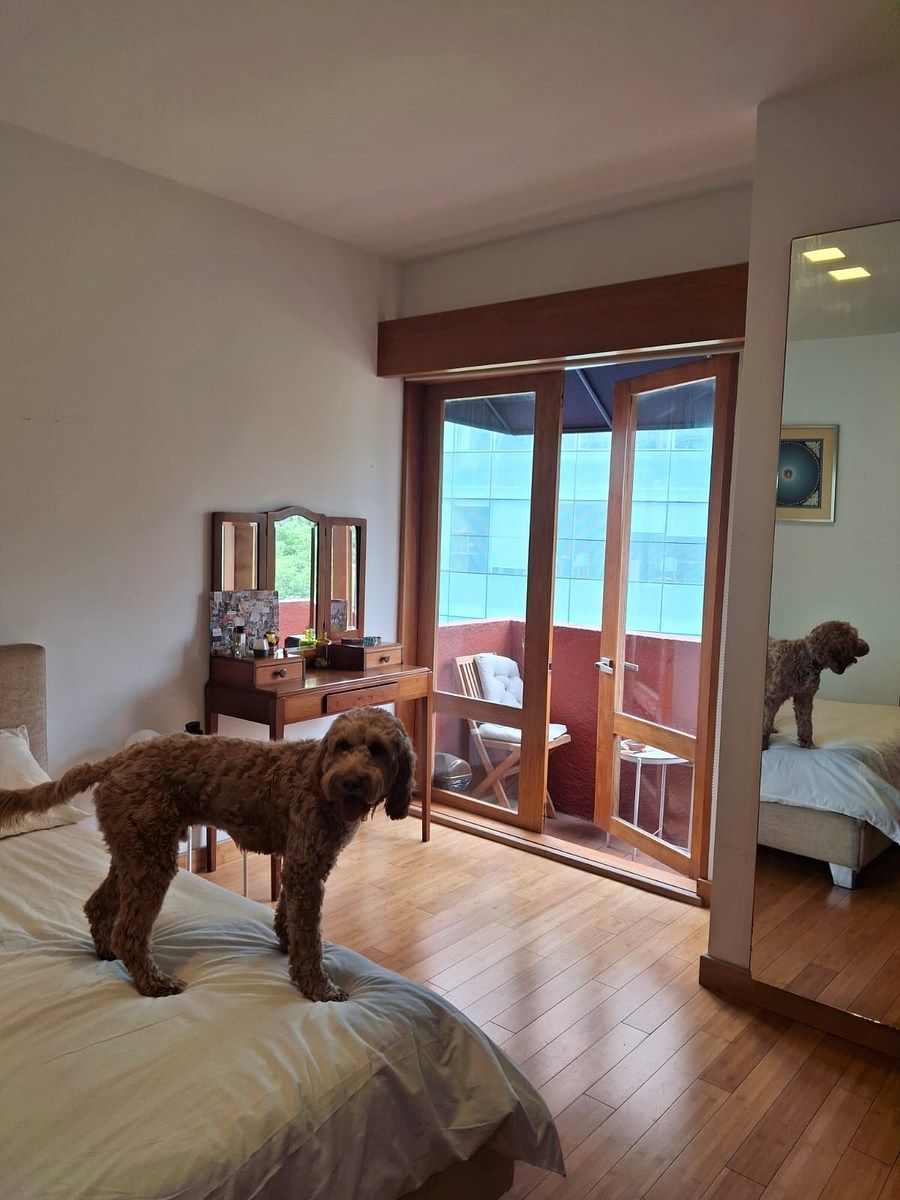 Apartment in ZEDEC Santa Fe, Álvaro Obregón, photo 8 of 17