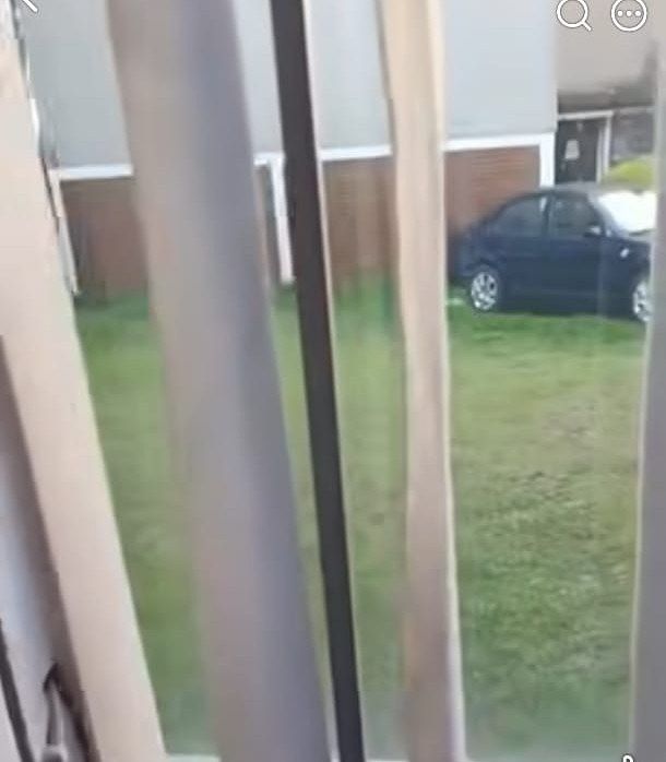 Departamento en La Joya, Tlalpan, foto 8 de 9