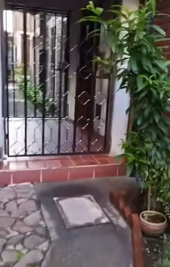 RENTA DEPARTAMENTO EN LA JOYA TLALPAN, foto 1 de 9