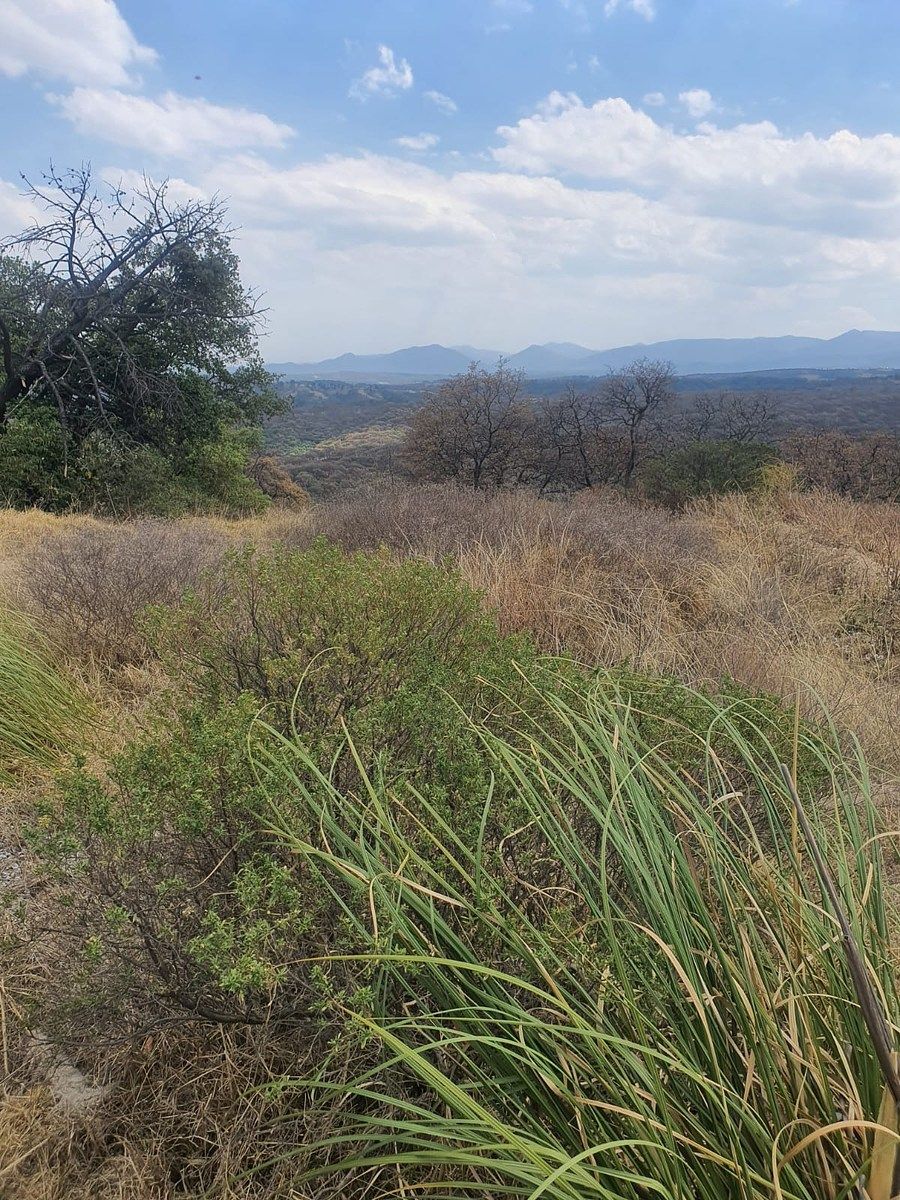 Terreno en El Mirador, Nicolás Romero, foto 4 de 9