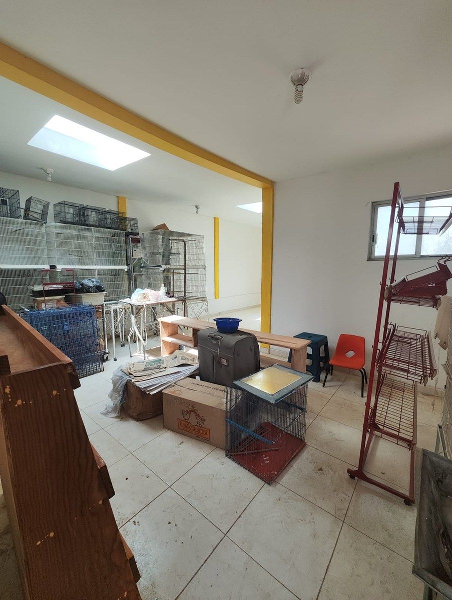 House with Commercial Use in Lomas de Querétaro, Querétaro, photo 19 of 19