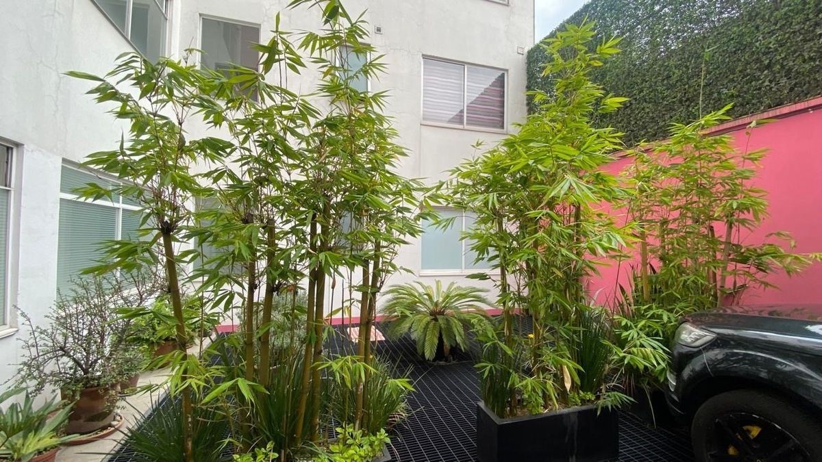 Apartamento em Albert, Benito Juárez, foto 18 de 25