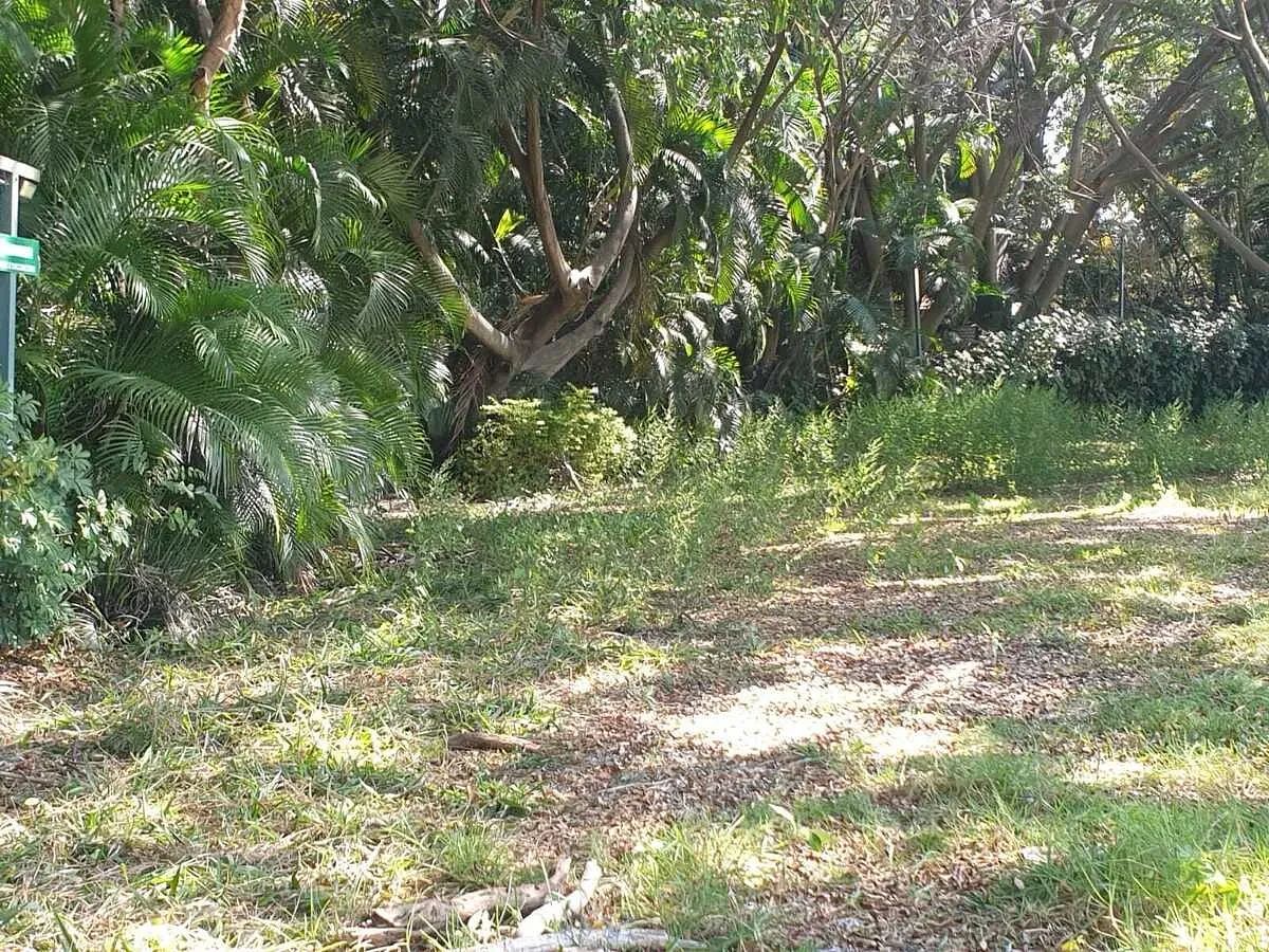 Lot in Lomas de Jiutepec, Jiutepec, photo 6 of 9