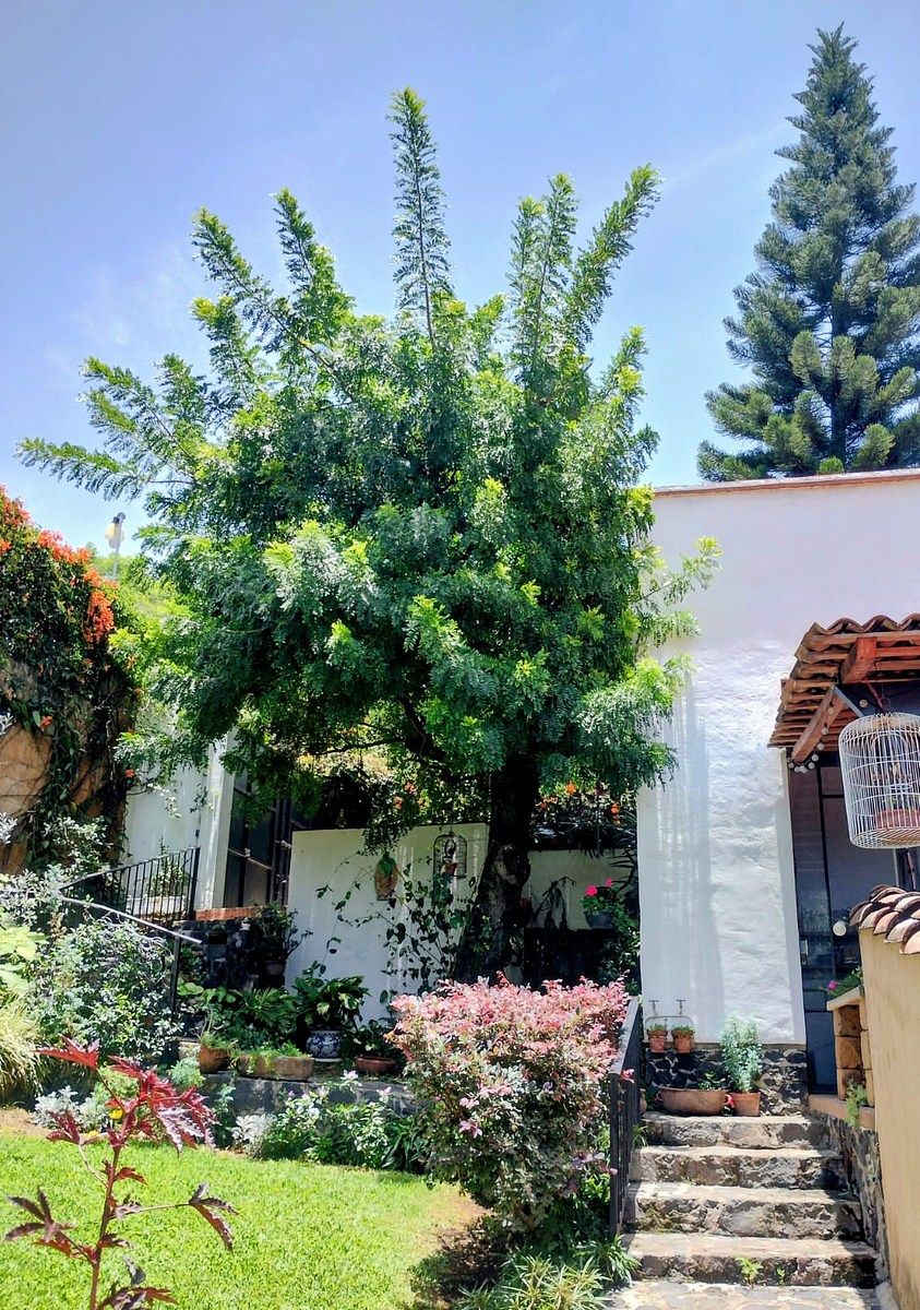 Casa em Malinalco, Malinalco, foto 3 de 14