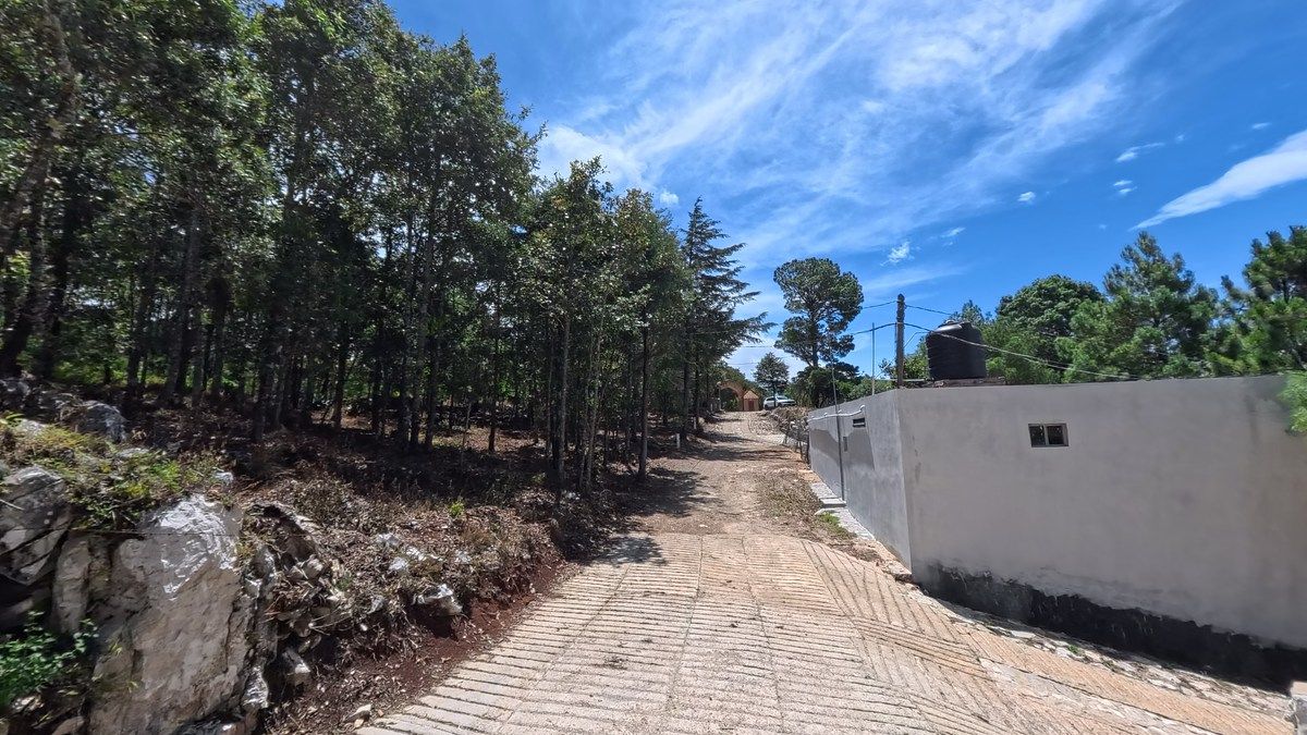 Lot in Del Santuario, San Cristóbal de Las Casas, photo 3 of 7