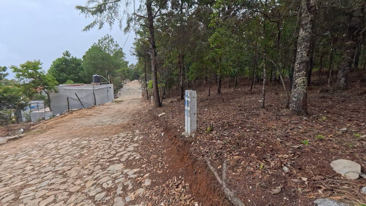 LAND 5.9 KM from Hotel Molino La Alborada, photo 1 of 7