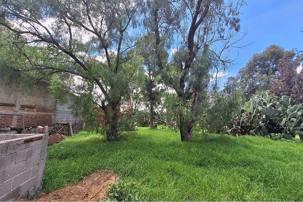 Lote em Acayuca, Zapotlán de Juárez, foto 7 de 33