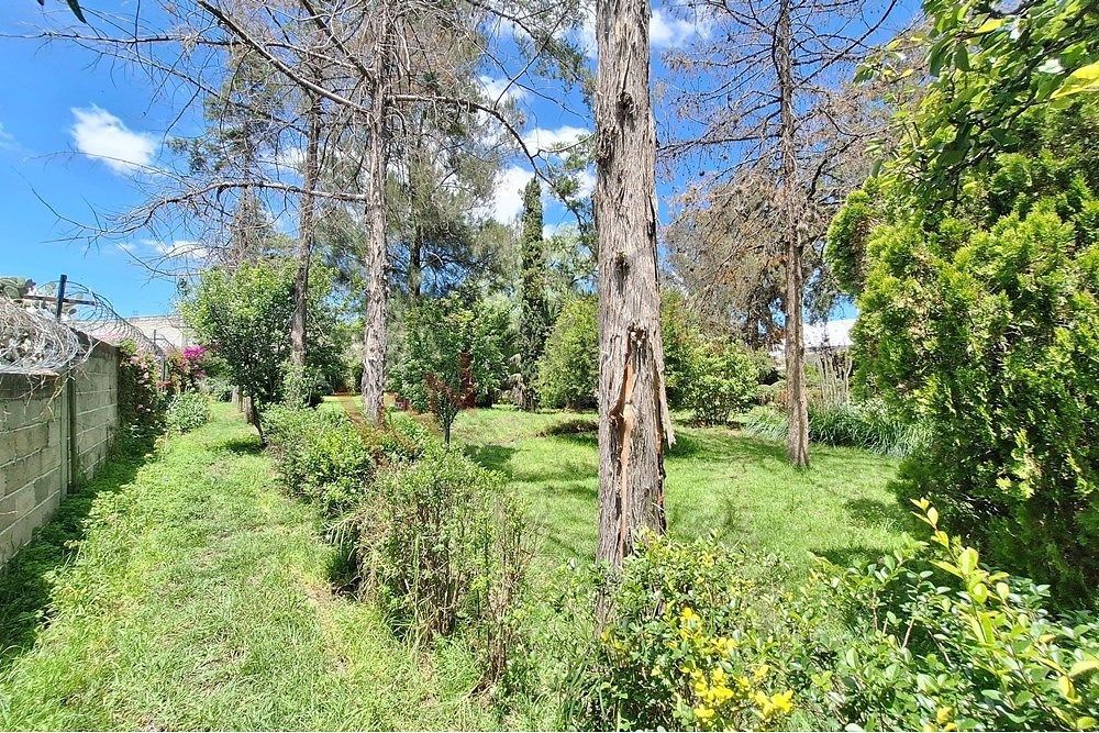 Lote em Acayuca, Zapotlán de Juárez, foto 16 de 33