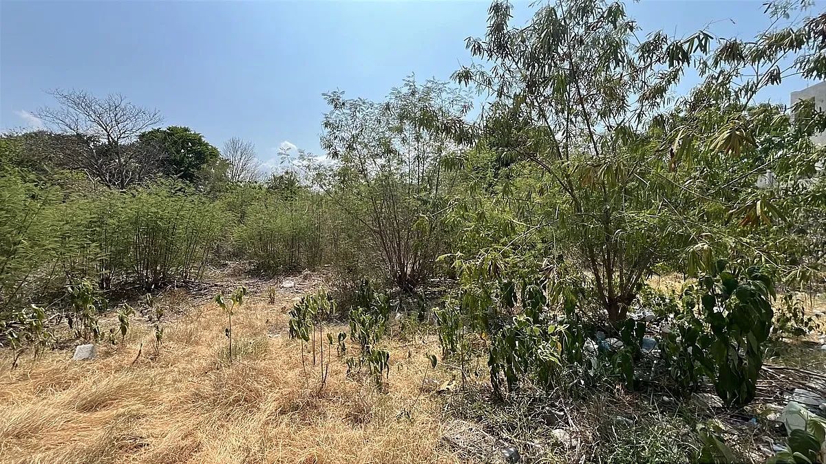Lot in Mérida Centro, Mérida, photo 3 of 7