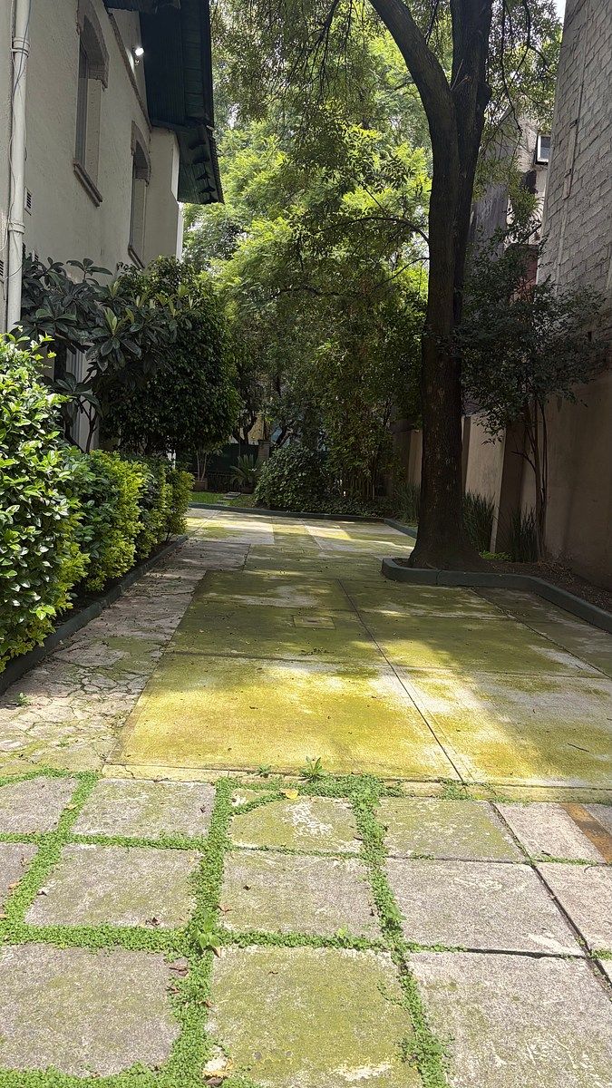 House with Commercial Use in San Miguel Chapultepec II Sección, Miguel Hidalgo, photo 3 of 32