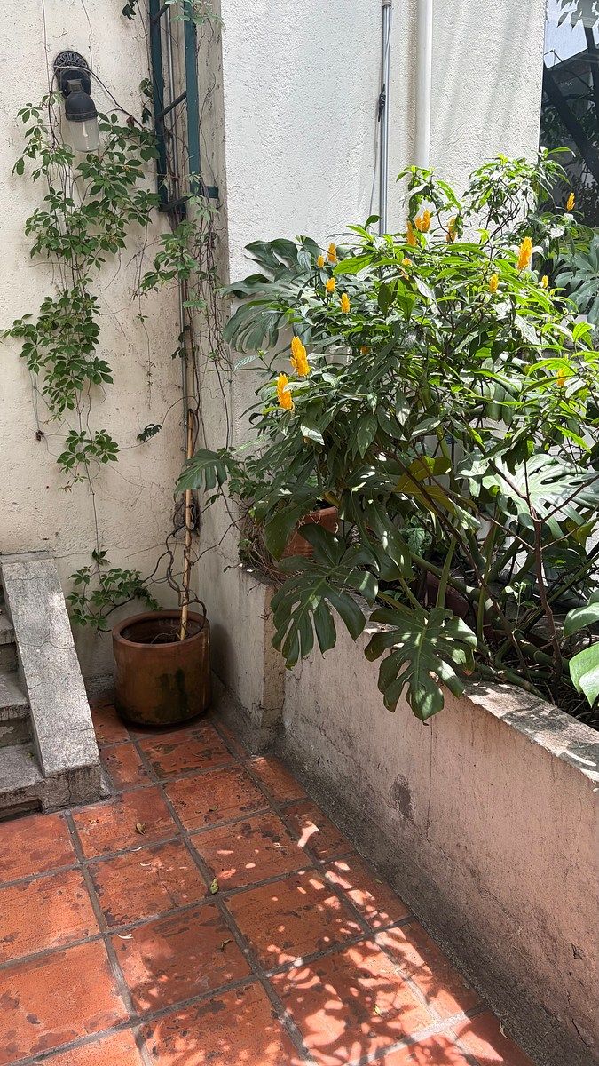 House with Commercial Use in San Miguel Chapultepec II Sección, Miguel Hidalgo, photo 31 of 32
