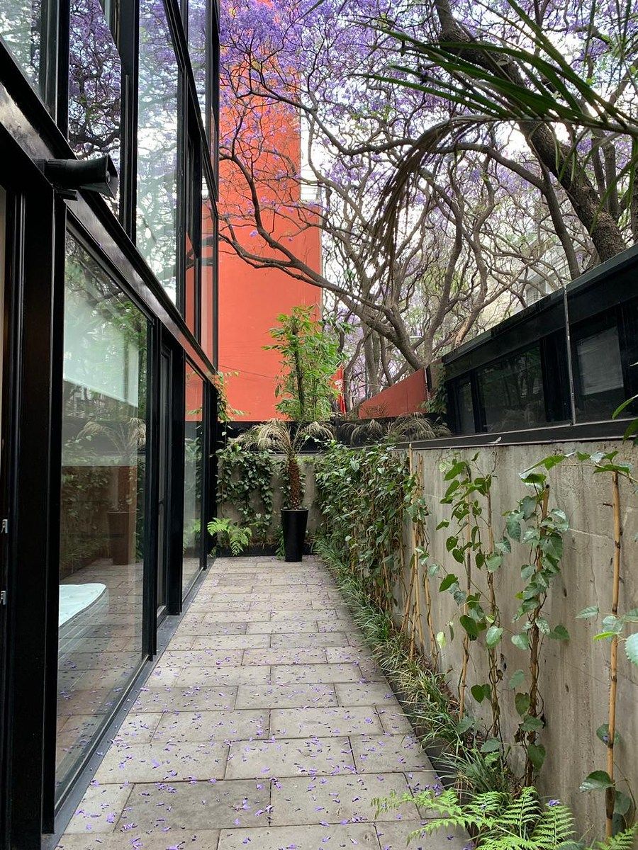 Apartamento em Polanco V Sección, Miguel Hidalgo, foto 4 de 18