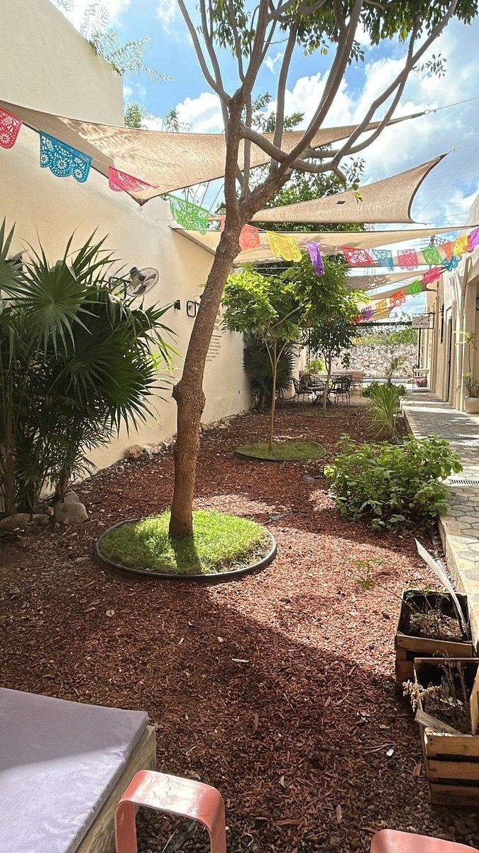 Local comercial en Temozón Norte, Mérida, foto 4 de 12