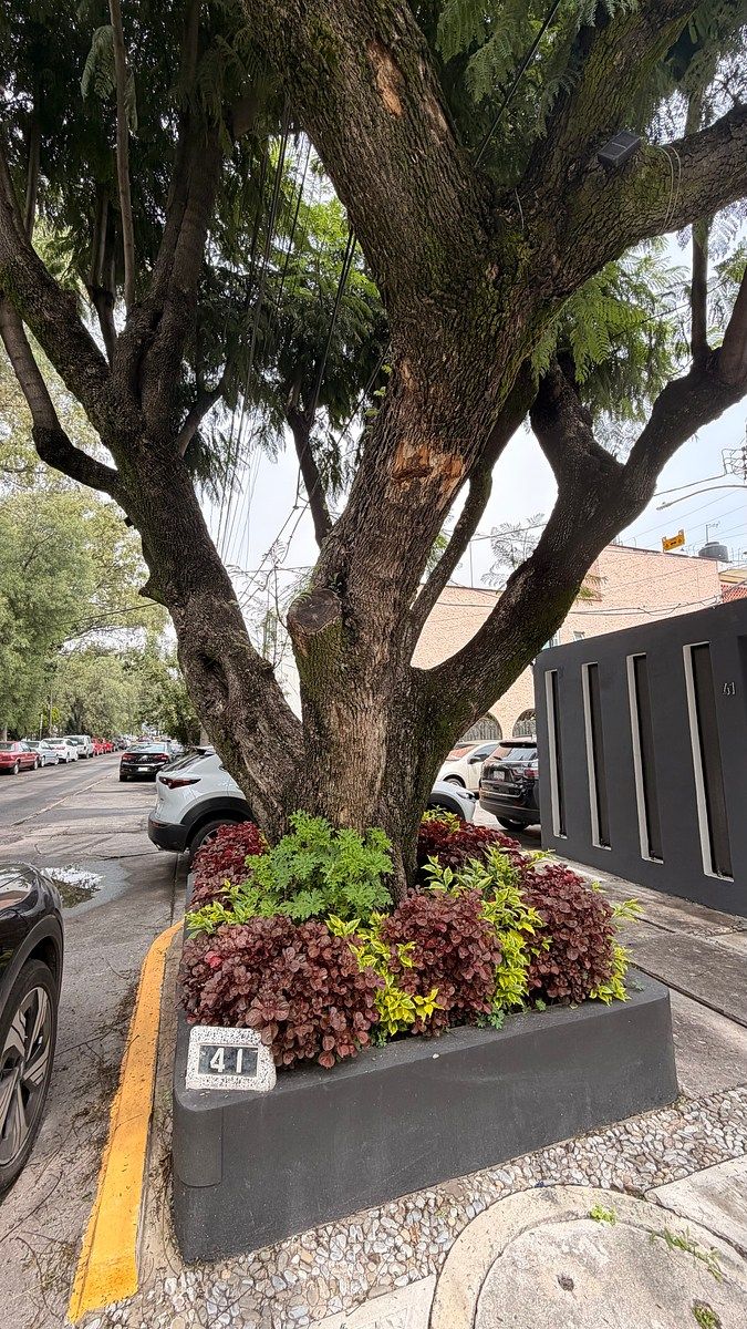 Casa em Ciudad Satélite, Naucalpan de Juárez, foto 8 de 25