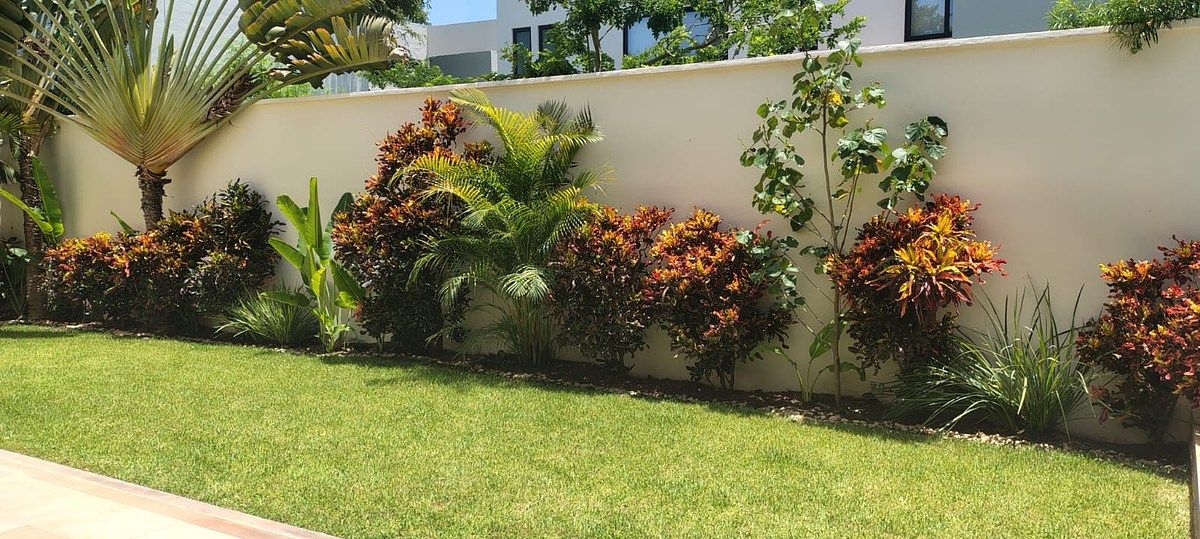 Jardín, foto 8 de 15