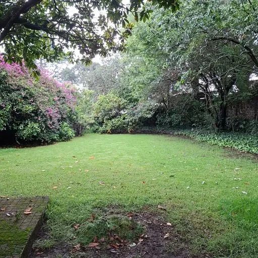 Casa en San Miguel Xicalco, Tlalpan, foto 21 de 23