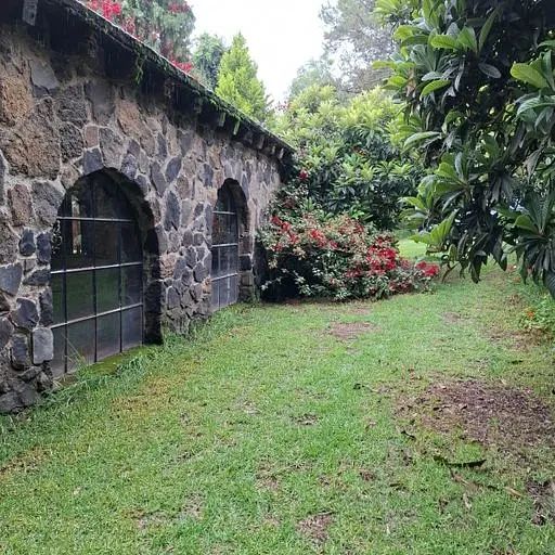 Casa en San Miguel Xicalco, Tlalpan, foto 23 de 23