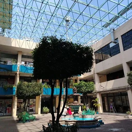 LOCAL 1000mts Venta GIMNASIO SALON EVENTOS , INFANTILES EN PLAZA, foto 1 de 6