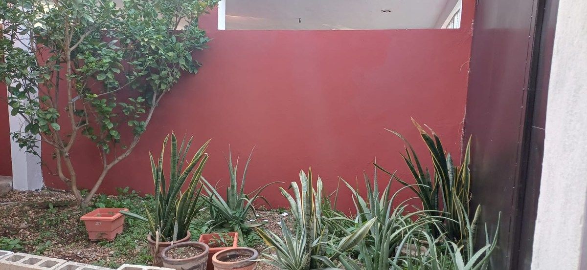Casa em Francisco de Montejo, Mérida, foto 8 de 30